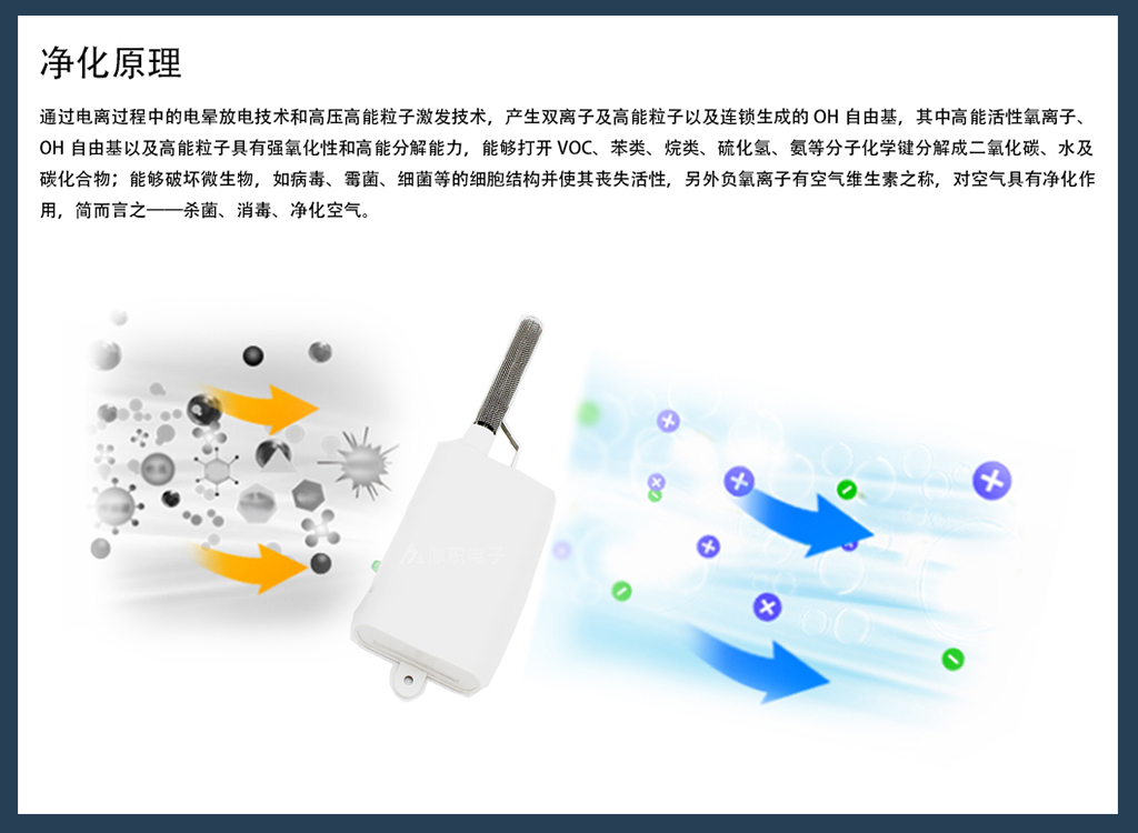 详情图7.jpg