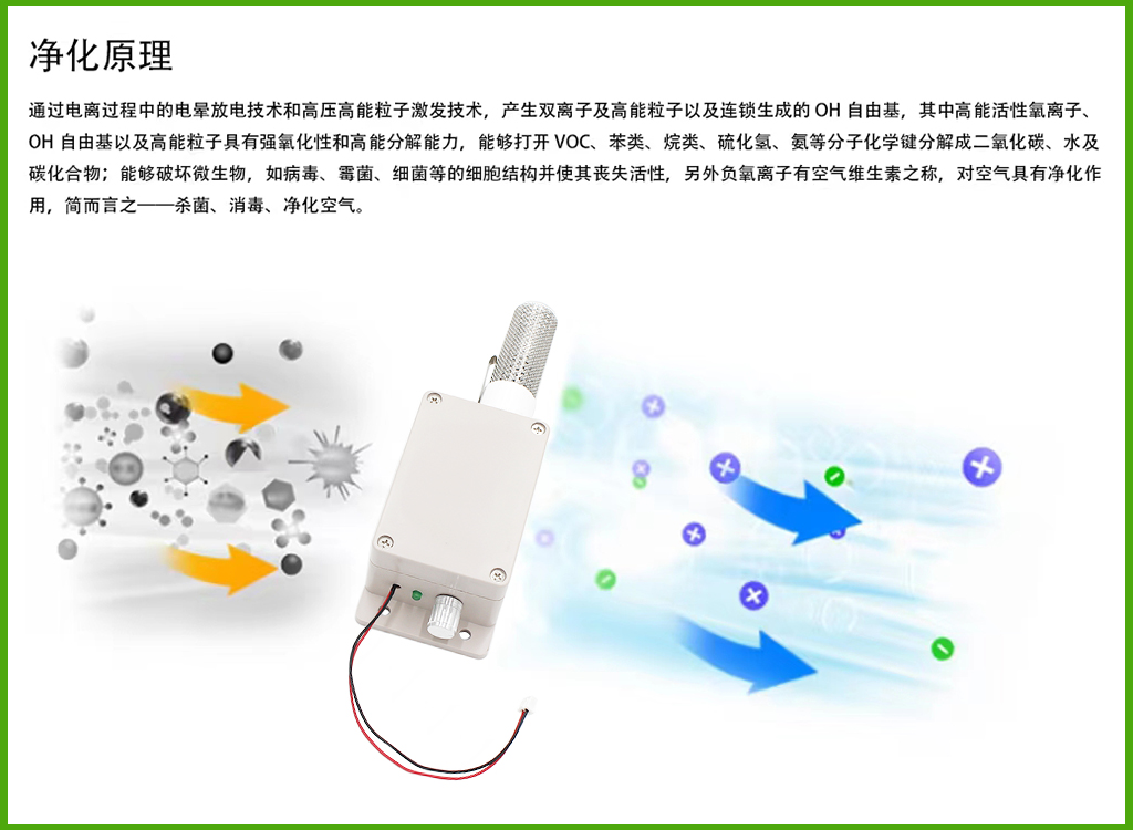 详情页3.jpg