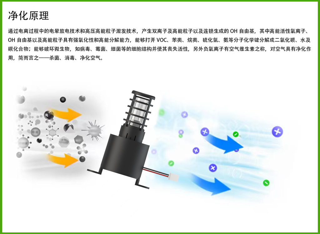 详情页3.jpg