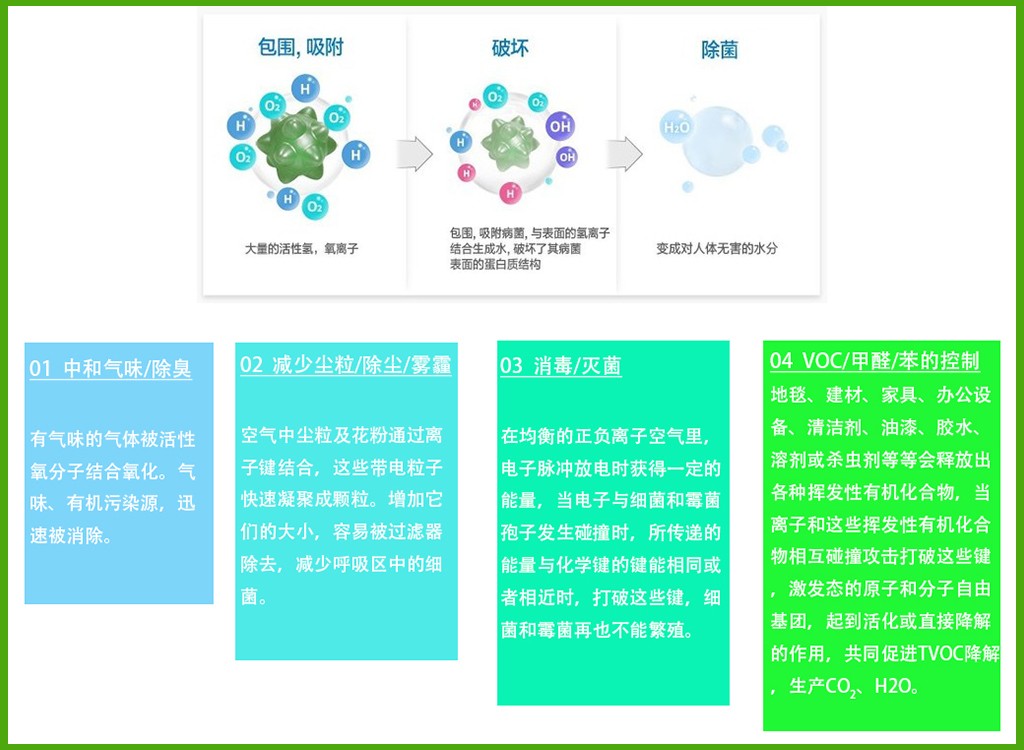 详情页4.jpg